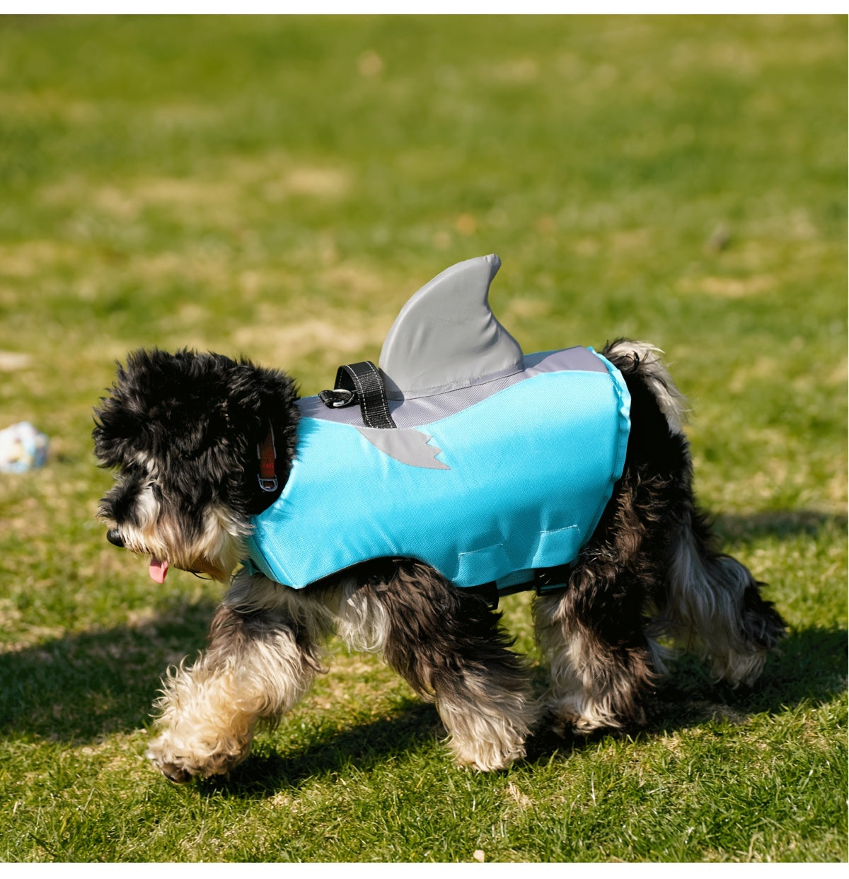 Gilet de Sauvetage Requin Réfléchissant pour Chien – Harnais de Flottaison Sécurisé avec Poignée & Sangles Réglables