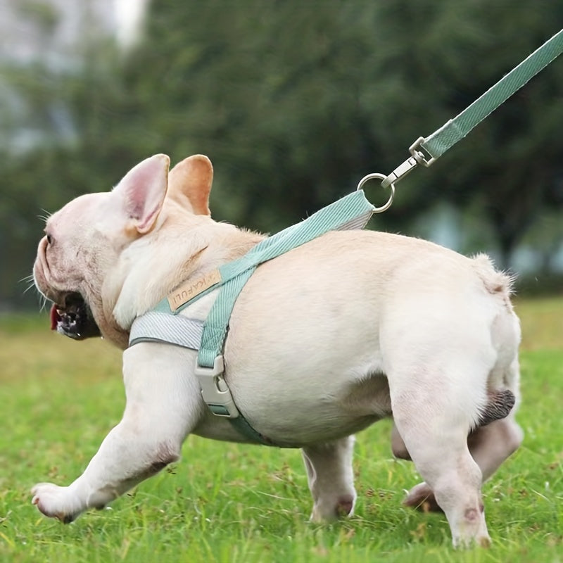 Ensemble Harnais et Laisse Ultra-Confort pour Petits et Moyens Chiens – Pour des Promenades Sécurisées et Agréables