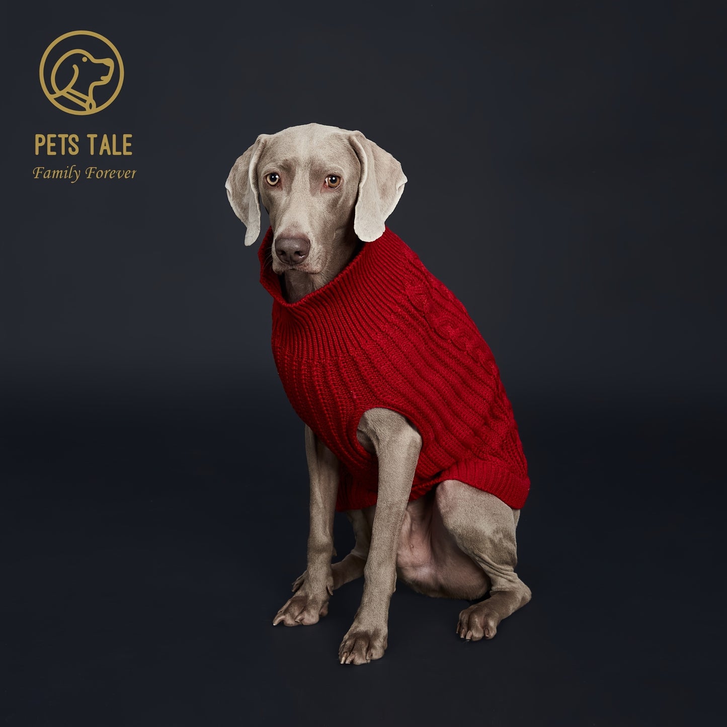 Pull Tricoté Uni pour Chien – Vêtement Chaud pour l’Automne et l’Hiver – 1 Pièce – Chandail Douillet pour Animaux