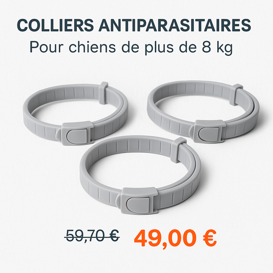 Collier Antiparasitaire Premium – Chiens de +8 kg