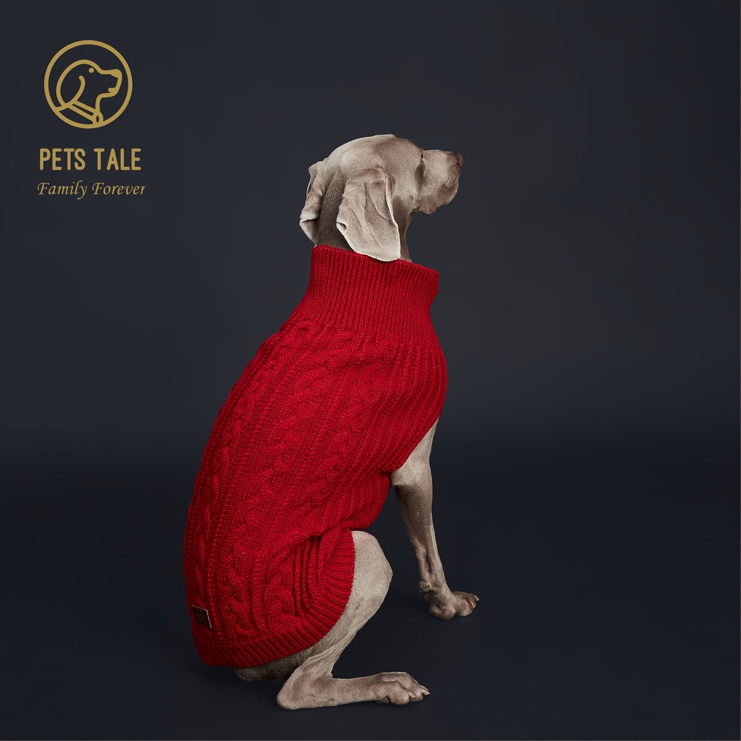 Pull Tricoté Uni pour Chien – Vêtement Chaud pour l’Automne et l’Hiver – 1 Pièce – Chandail Douillet pour Animaux