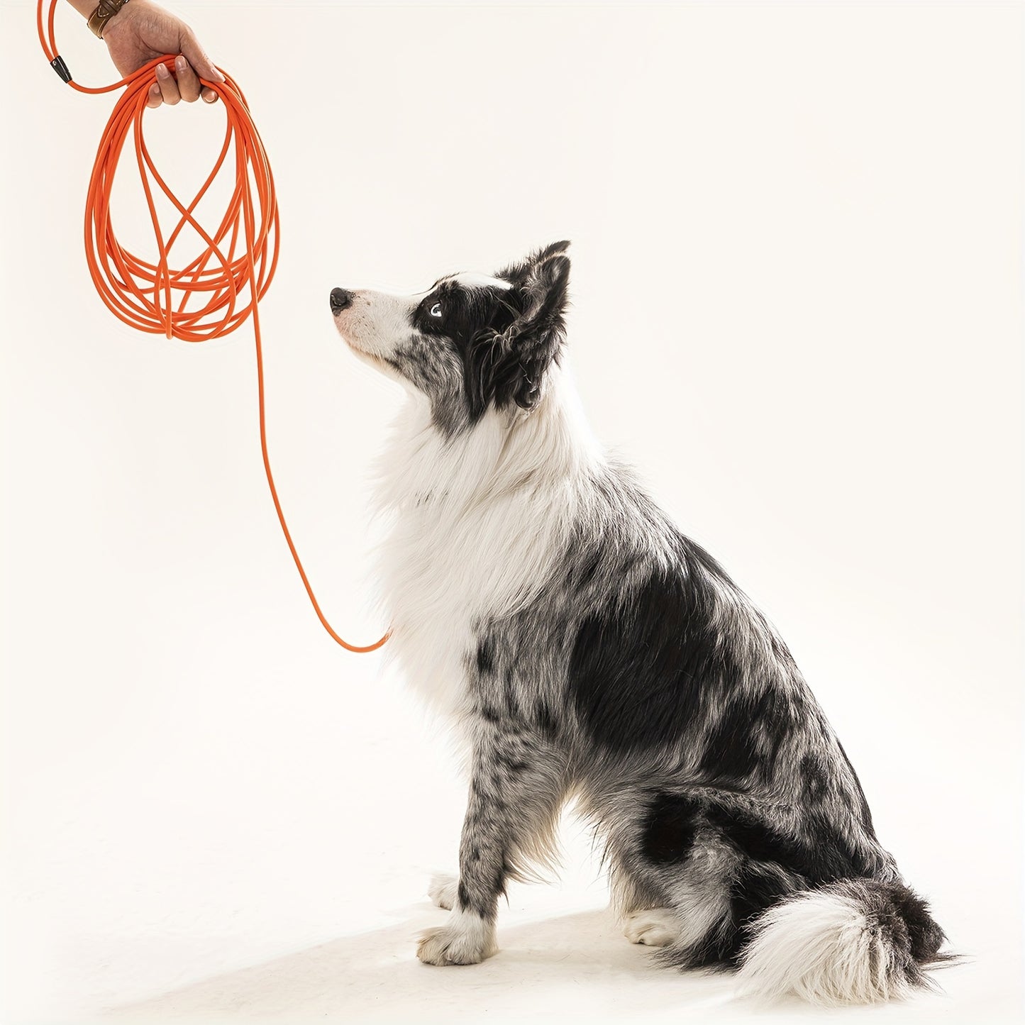 Laisse Longue Étanche et Ultra-Résistante pour Chien – Spéciale Entraînement, Plage, Randonnée & Dressage