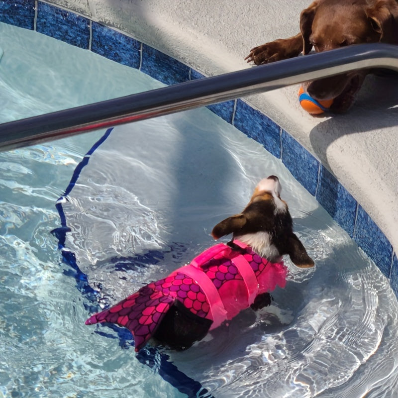 Gilet de Sauvetage pour Chien – Veste Flottante de Sécurité pour la Natation et le Bateau – Maillot de Bain Flottant pour Petits, Moyens et Grands Chiens – Idéal Piscine, Mer, Lac