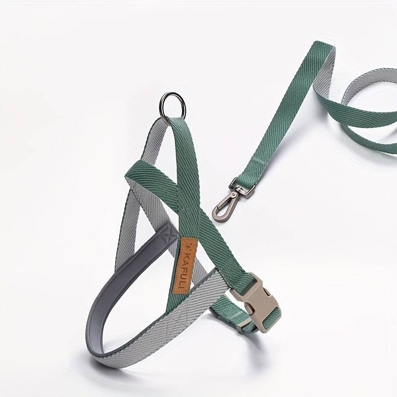 Ensemble Harnais et Laisse Ultra-Confort pour Petits et Moyens Chiens – Pour des Promenades Sécurisées et Agréables