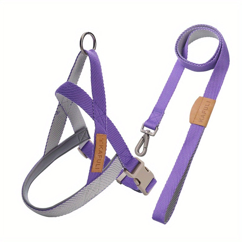 Ensemble Harnais et Laisse Ultra-Confort pour Petits et Moyens Chiens – Pour des Promenades Sécurisées et Agréables