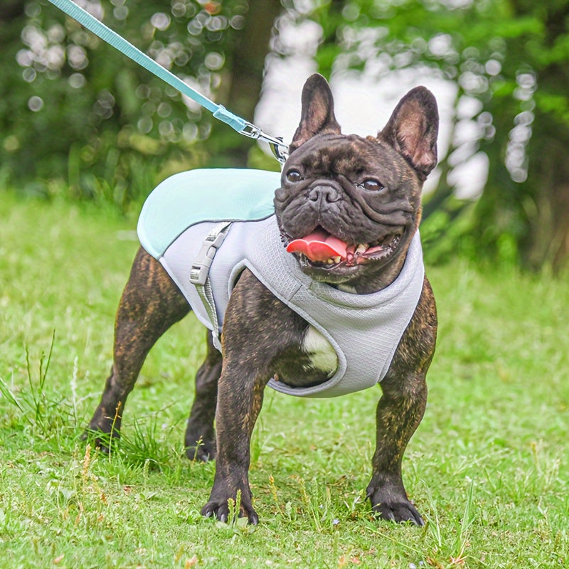 Gilet Rafraîchissant Respirant pour Chien – Veste Anti-Chaleur Été, Réglable & Ultra-Léger