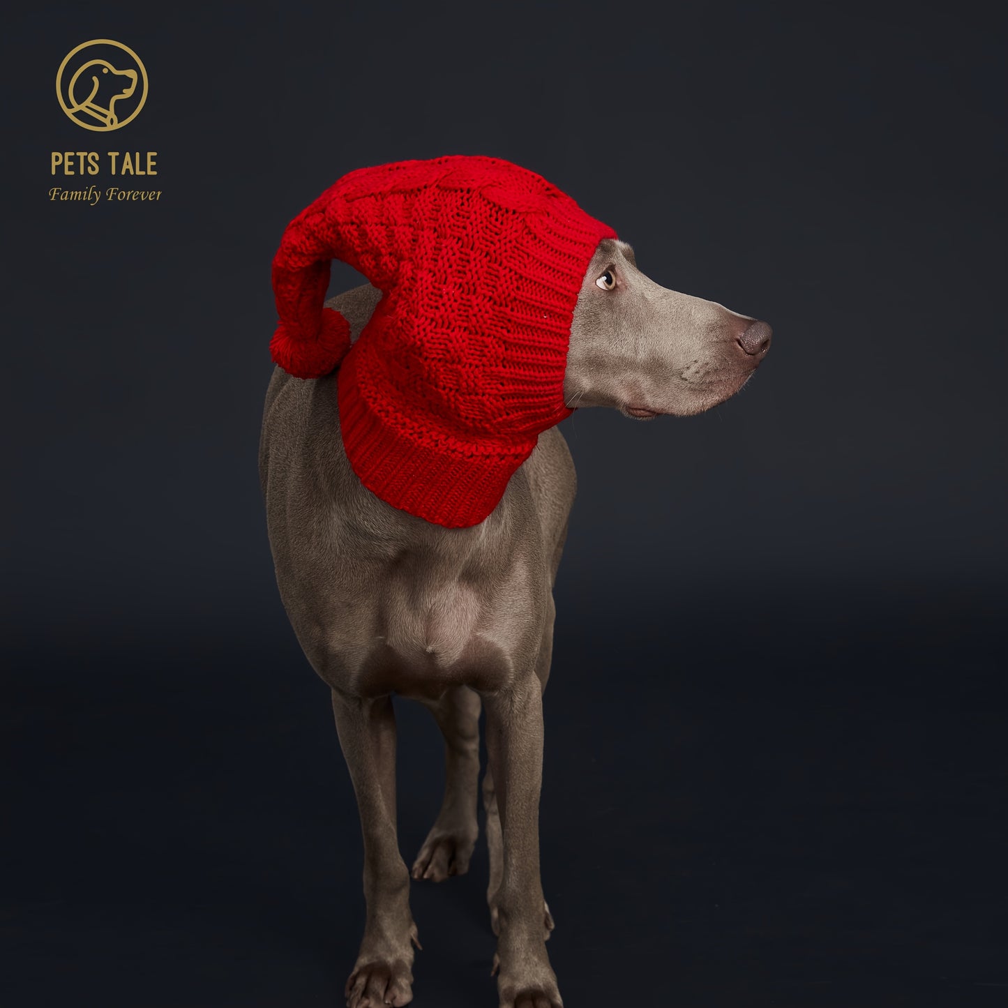 Bonnet Chaud pour Chien – Casquette d’Hiver Unicolore avec Pompon – Accessoire Tendance et Confortable pour Animaux – Coloris Rouge