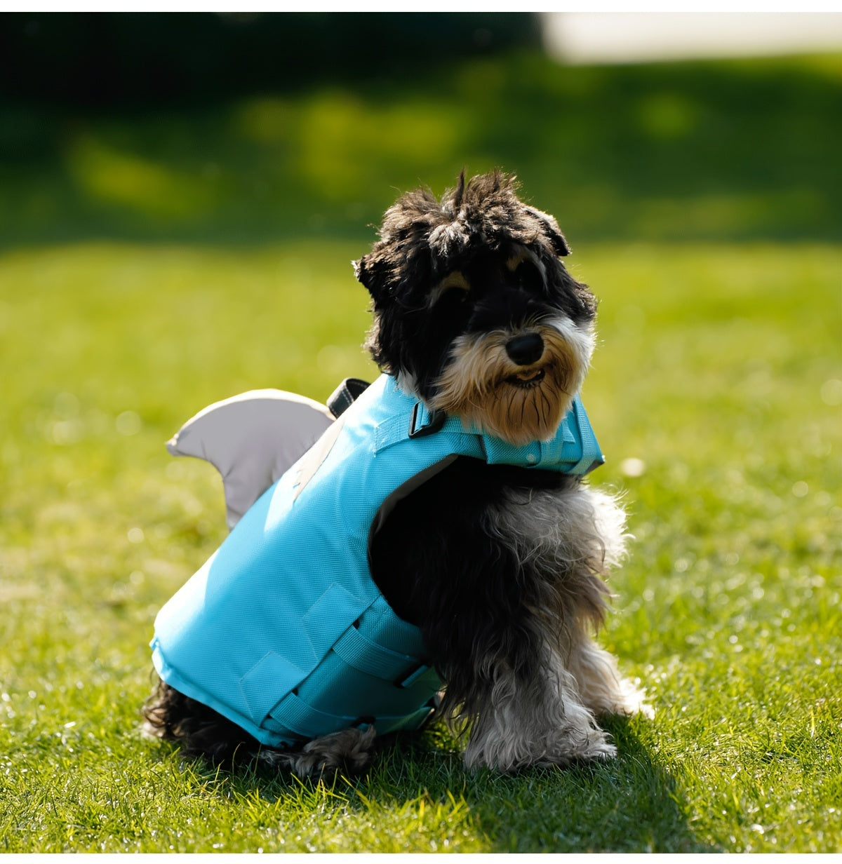 Gilet de Sauvetage Requin Réfléchissant pour Chien – Harnais de Flottaison Sécurisé avec Poignée & Sangles Réglables