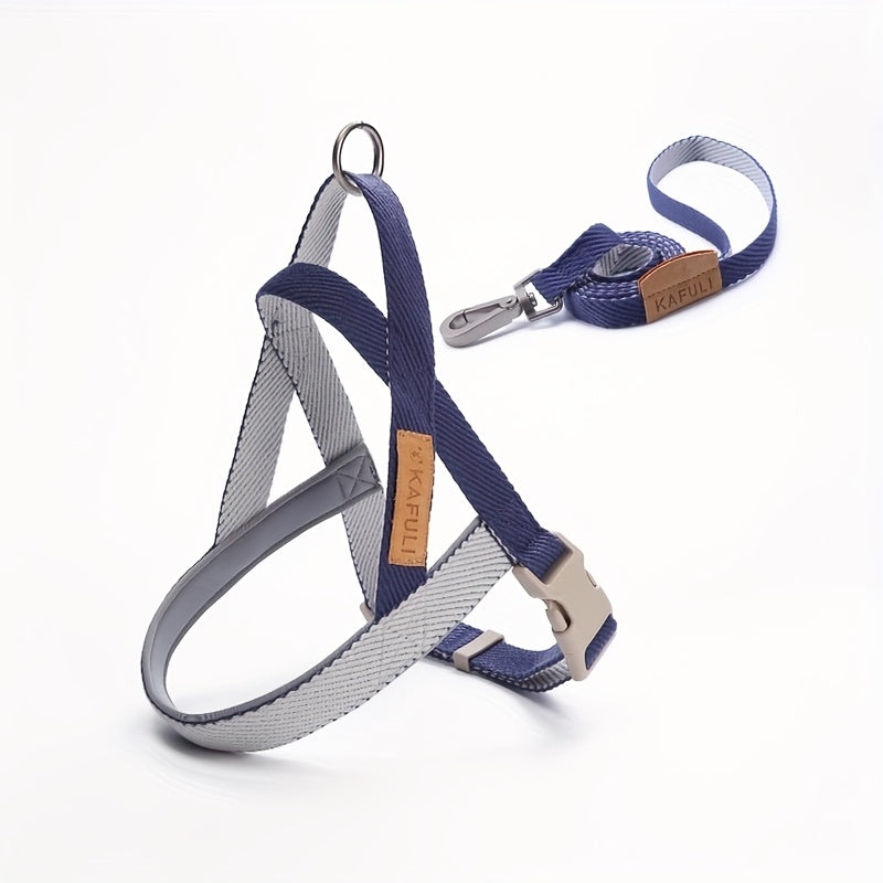 Ensemble Harnais et Laisse Ultra-Confort pour Petits et Moyens Chiens – Pour des Promenades Sécurisées et Agréables