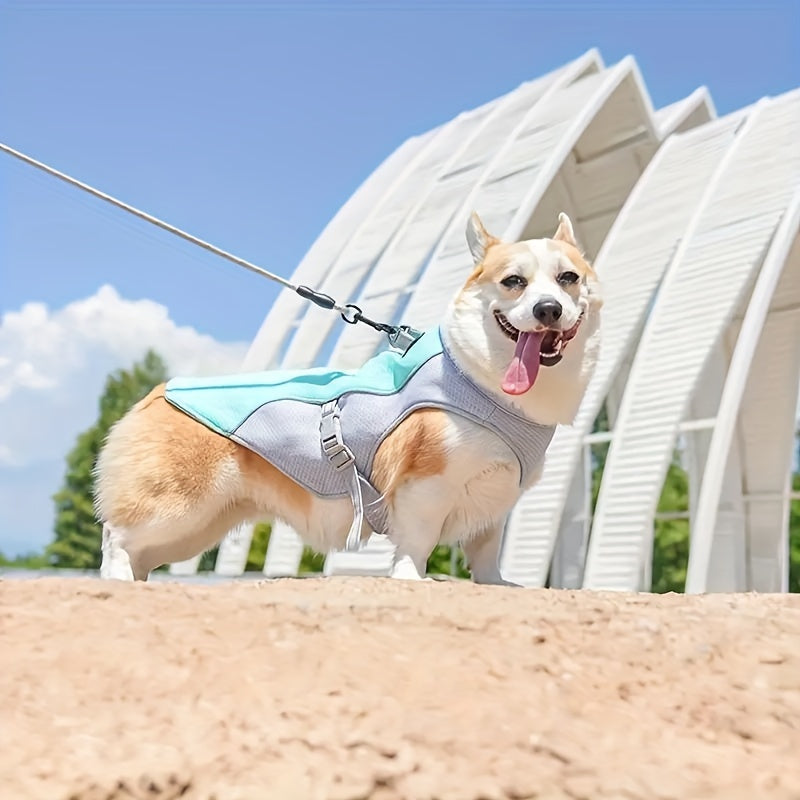 Gilet Rafraîchissant Respirant pour Chien – Veste Anti-Chaleur Été, Réglable & Ultra-Léger