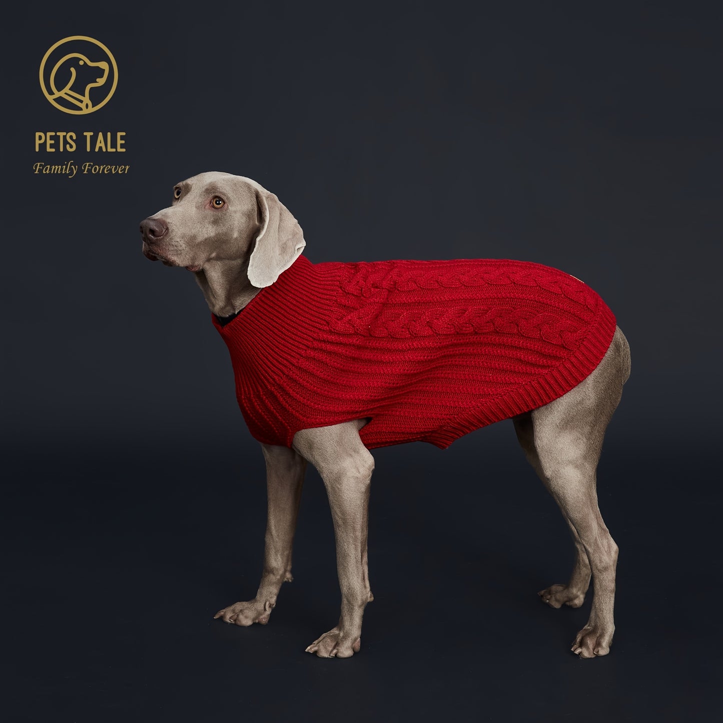 Pull Tricoté Uni pour Chien – Vêtement Chaud pour l’Automne et l’Hiver – 1 Pièce – Chandail Douillet pour Animaux