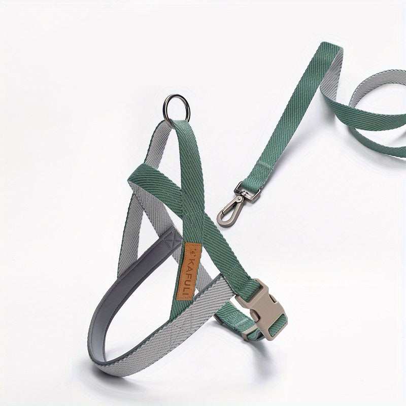 Ensemble Harnais et Laisse Ultra-Confort pour Petits et Moyens Chiens – Pour des Promenades Sécurisées et Agréables