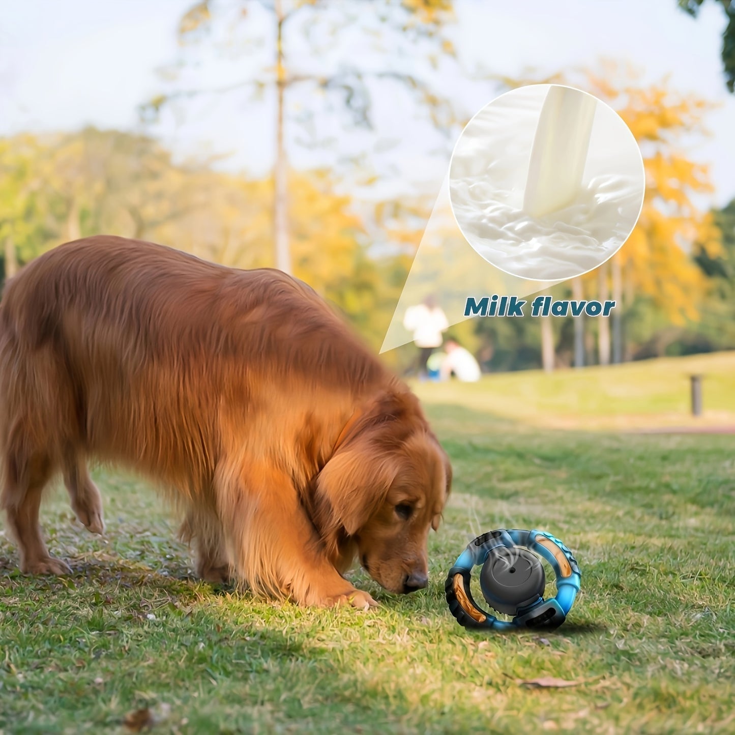 Jouet à Mâcher pour Chien en Forme de Volant – Jouet Interactif de Nettoyage Dentaire et d’Entraînement – Convient aux Chiens de Taille Moyenne