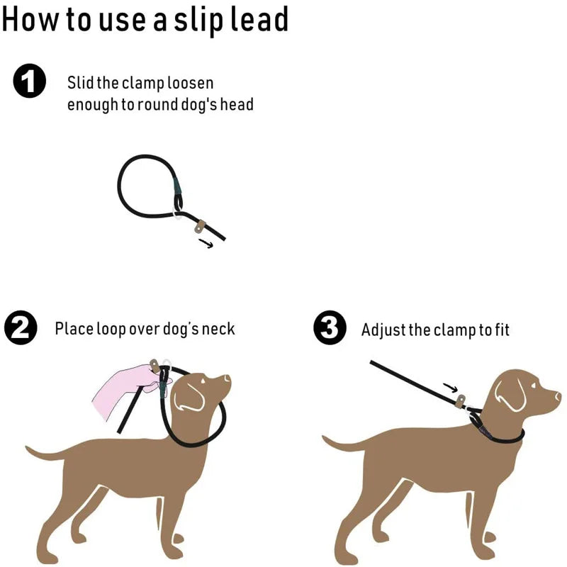 Laisse pour Chien Solide pour l’Extérieur et le Dressage – Chaîne de Traction Robuste avec Poignée Douce pour un Contrôle et une Sécurité Accrus