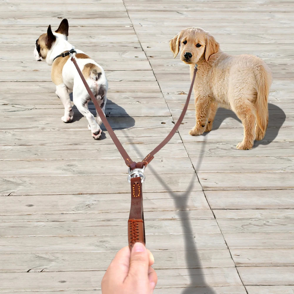 Laisse Double en Cuir pour Deux Chiens – Laisse Coupleur Anti-Enchevêtrement avec Poignée, Idéale pour la Marche et le Dressage de Chiens Petits à Moyens