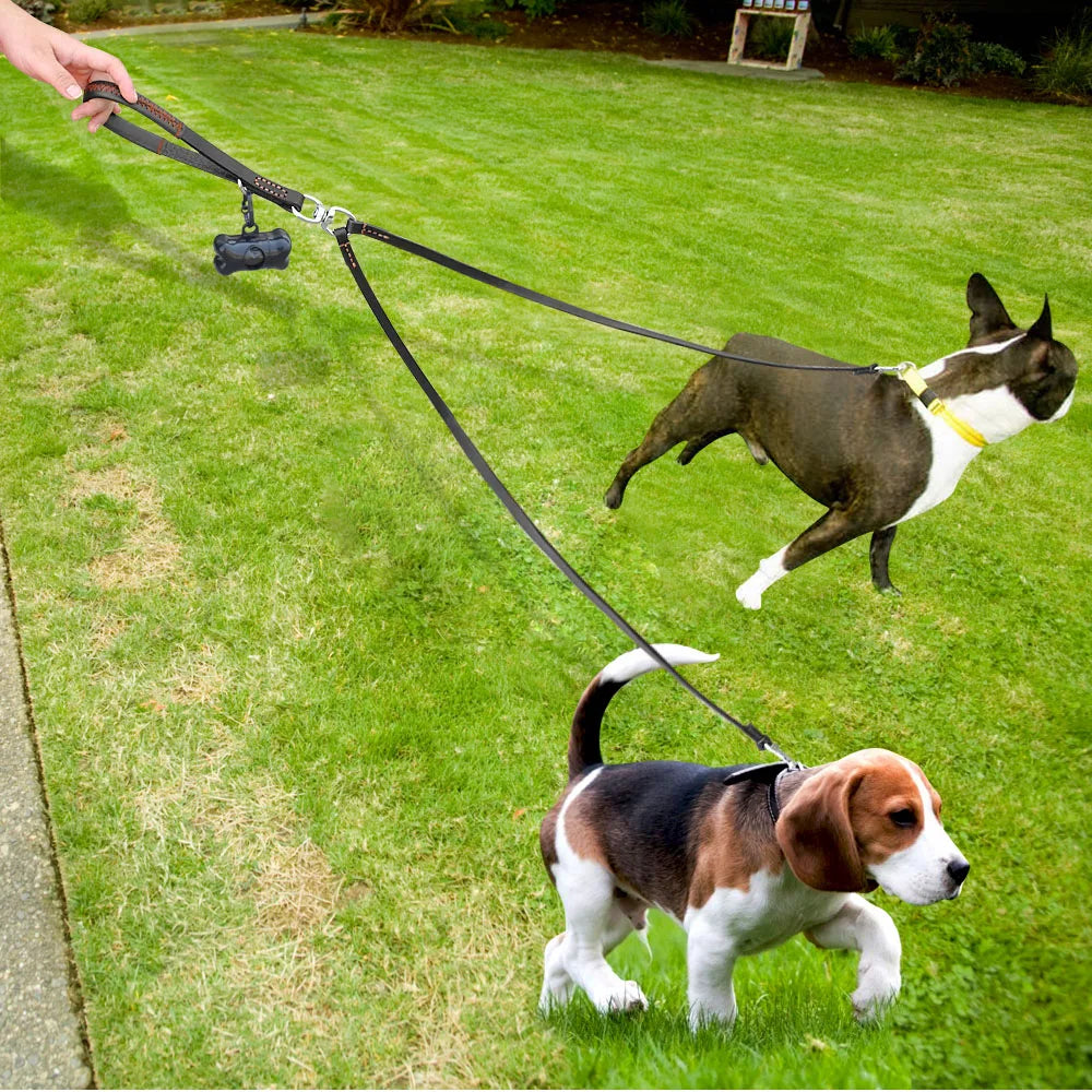 Laisse Double en Cuir pour Deux Chiens – Laisse Coupleur Anti-Enchevêtrement avec Poignée, Idéale pour la Marche et le Dressage de Chiens Petits à Moyens