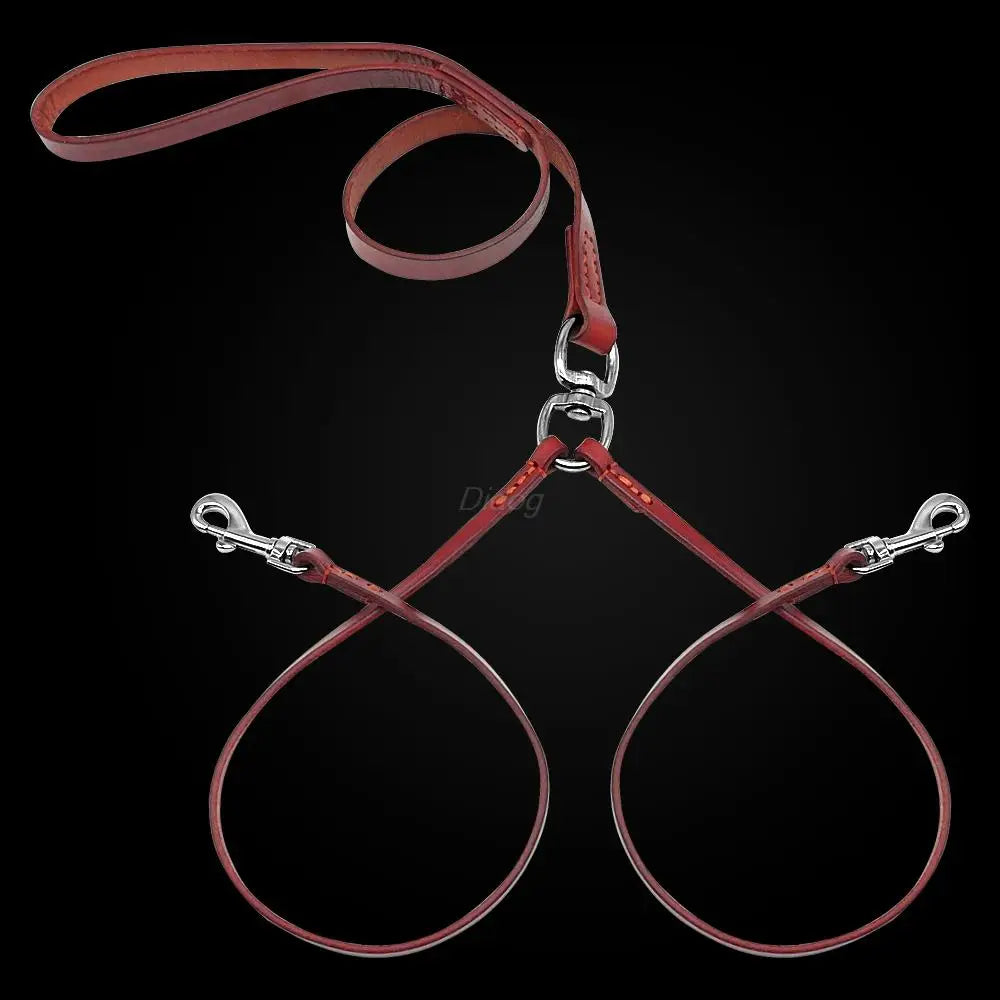 Laisse Double en Cuir pour Deux Petits Chiens ou Chiots – Laisse Couple Anti-Enchevêtrement, Testée pour la Résistance, Idéale pour la Marche et le Dressage