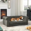 Nouveau Lit pour Chien 2025 – Canapé de Luxe Confortable pour Animaux, Mobilier d’Intérieur Élégant pour Chiens et Chats