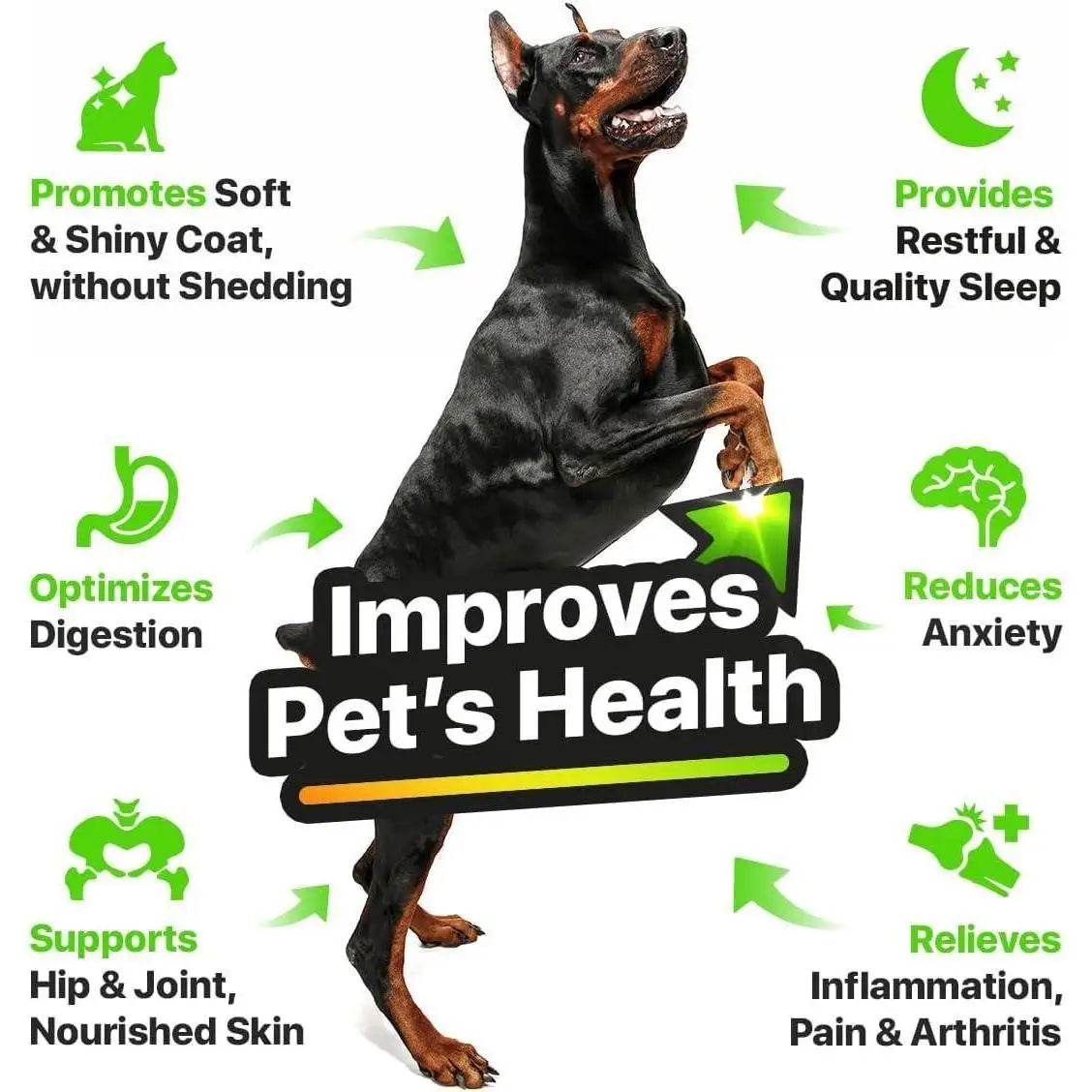 Charlie & Buddy – Huile de Chanvre et de Saumon pour Chiens et Chats – Riche en Oméga 3, 6, 9 et Vitamines B & E – Pour la Santé de la Peau et du Pelage