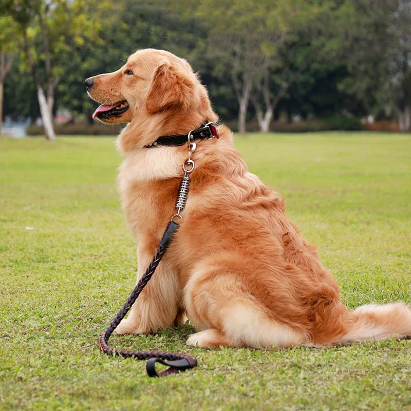 Collier et Laisse en Cuir pour Chien de Grande Taille – Corde de Traction Solide avec Chaîne, Accessoire Sécurisé pour Prévenir les Fugues