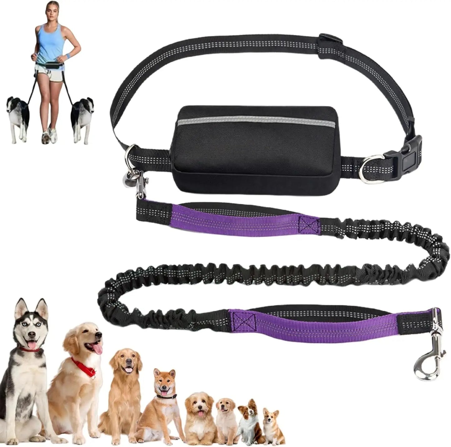 Laisse pour Chien Mains Libres 1,65 m avec Pochette à Fermeture Éclair – Laisse de Taille avec Double Poignée Rembourrée pour la Marche