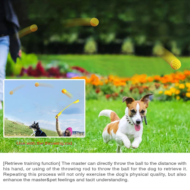 Balle à Mâcher Sonore pour Chien – Jouet Interactif d’Extérieur pour Petits, Moyens et Grands Chiens – Nettoyage des Dents, Anti-Stress – Idéal Chihuahua, Yorkie et Autres Races