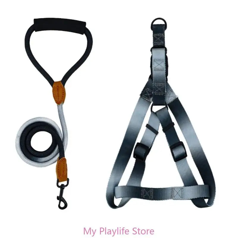 Ensemble Harnais et Laisse de Dressage pour Chien – Harnais de Poitrine avec Libération Rapide, Facile à Contrôler, Idéal pour la Marche et l’Entraînement