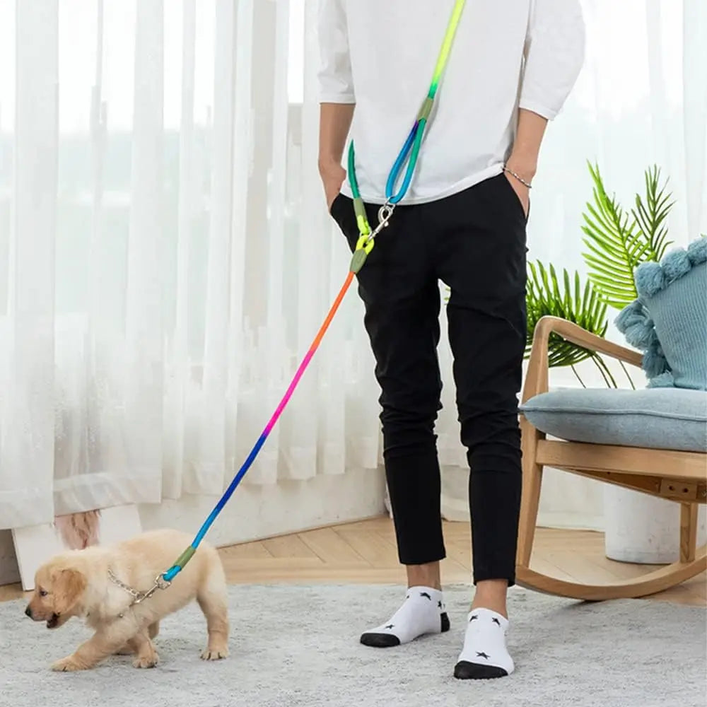 Laisse Mains Libres Réfléchissante en Nylon – Laisse de Marche, Course et Jogging Réglable pour Chiens de Petite à Grande Taille