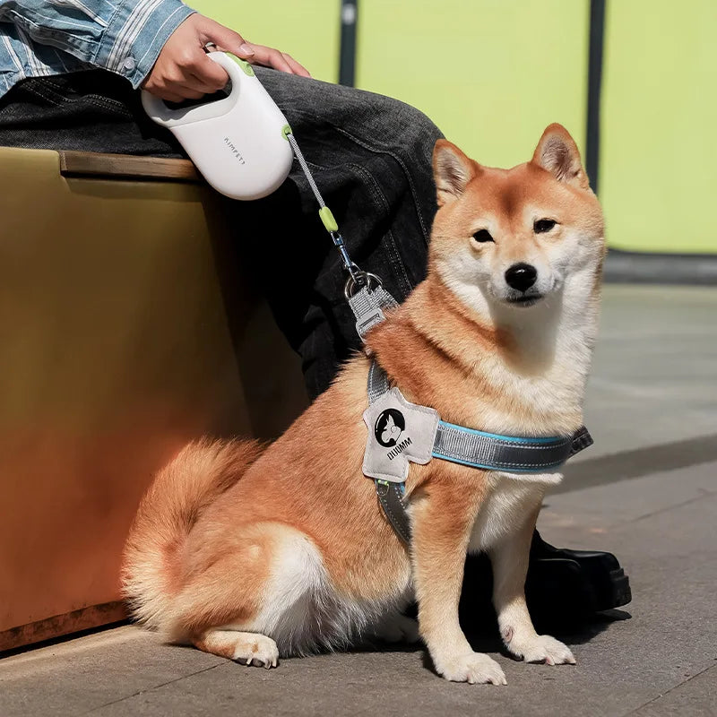 Laisse pour Animaux avec Extension Réglable et Sécurisée – Corde de Marche Réfléchissante pour Chien, Longueur 5M