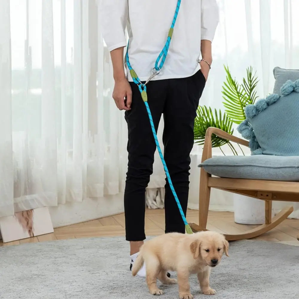 Laisse Mains Libres Réfléchissante en Nylon – Laisse de Marche, Course et Jogging Réglable pour Chiens de Petite à Grande Taille