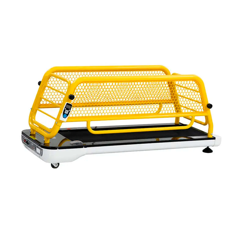 Tapis de Course pour Chien – Machine de Marche pour Animaux de Compagnie, Entraînement Intérieur pour Chiens de Petite à Grande Taille
