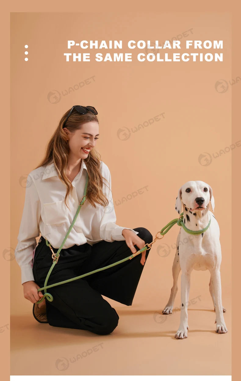Laisse Multifonction Mains Libres pour Chien – Corde de Marche 10-en-1 pour Chiens Petits, Moyens et Grands, Idéale pour la Course et la Marche en Extérieur