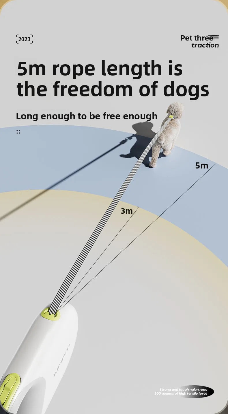 Laisse pour Animaux avec Extension Réglable et Sécurisée – Corde de Marche Réfléchissante pour Chien, Longueur 5M