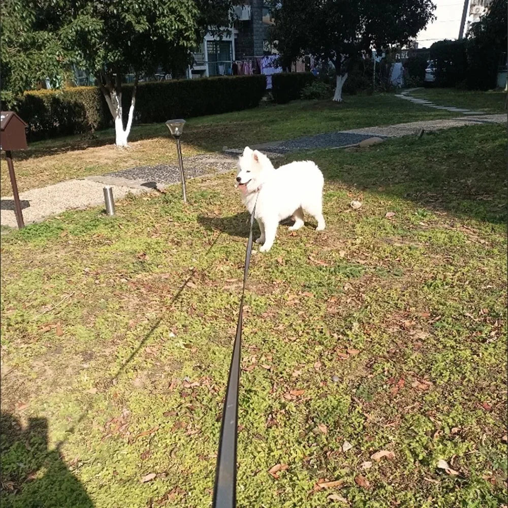 Laisse Rétractable 8M/5M pour Chien de Grande Taille – Laisse Automatique Extensible Robuste pour la Marche, la Course et la Randonnée