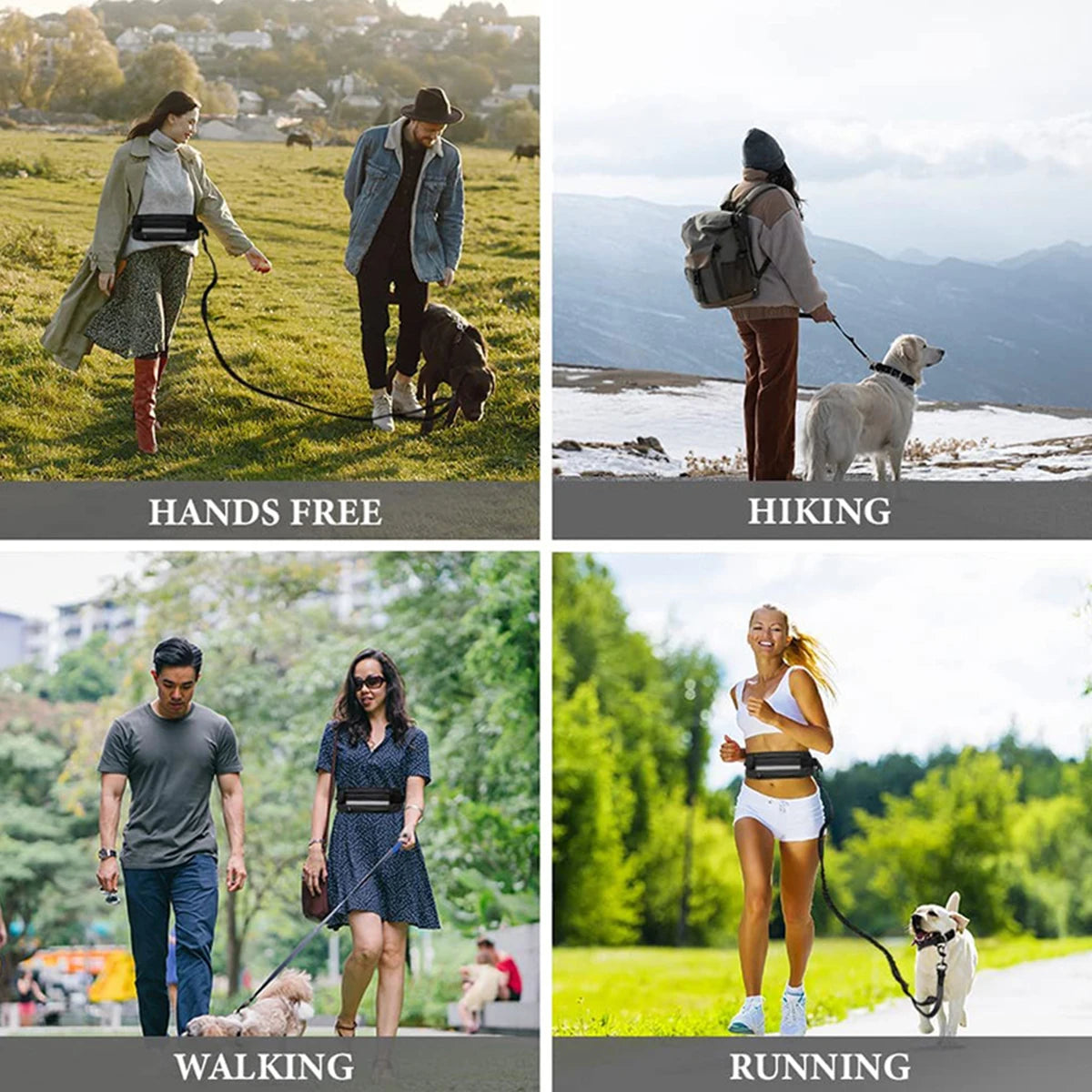 Laisse pour Chien Mains Libres pour la Course et la Marche – Laisse Réfléchissante avec Ceinture Élastique Rétractable et Sacoche à la Taille