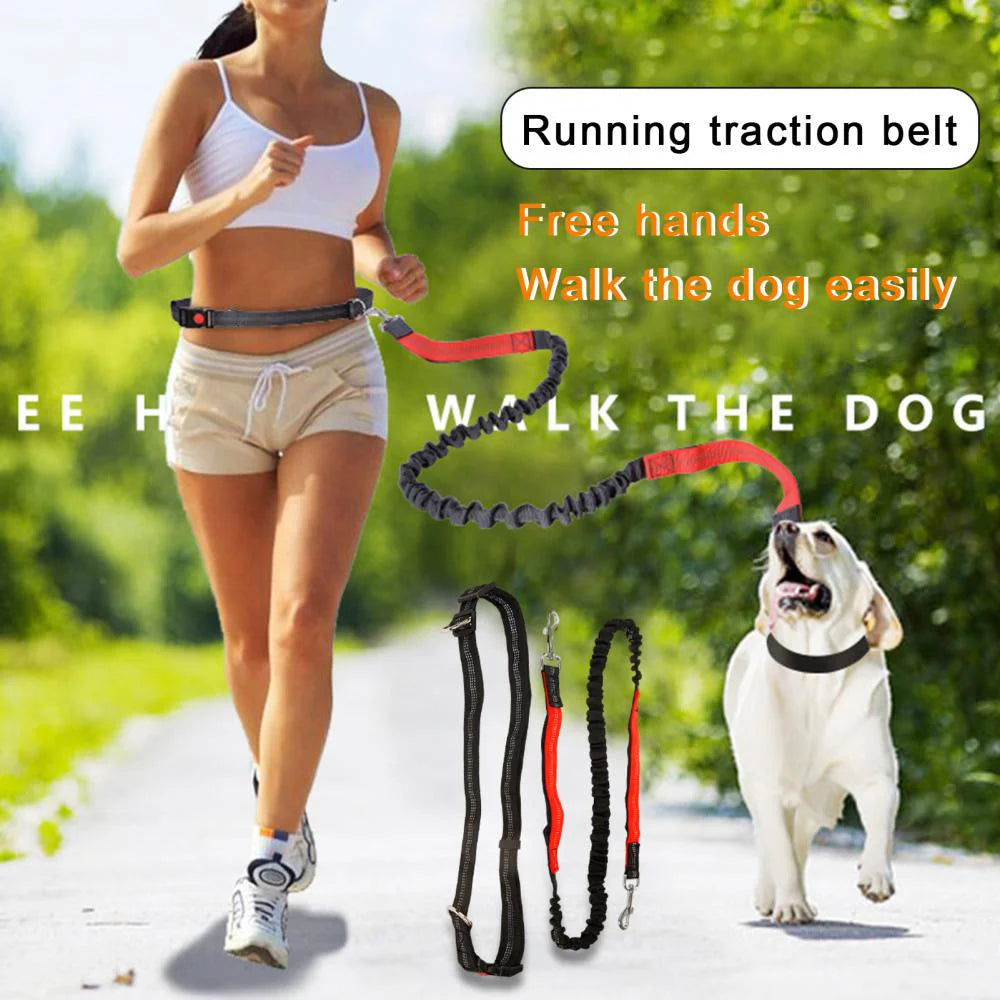 Laisse Élastique pour Chien Mains Libres – Laisse Rétractable en Nylon pour la Course et la Marche, Accessoire Pratique pour Chien