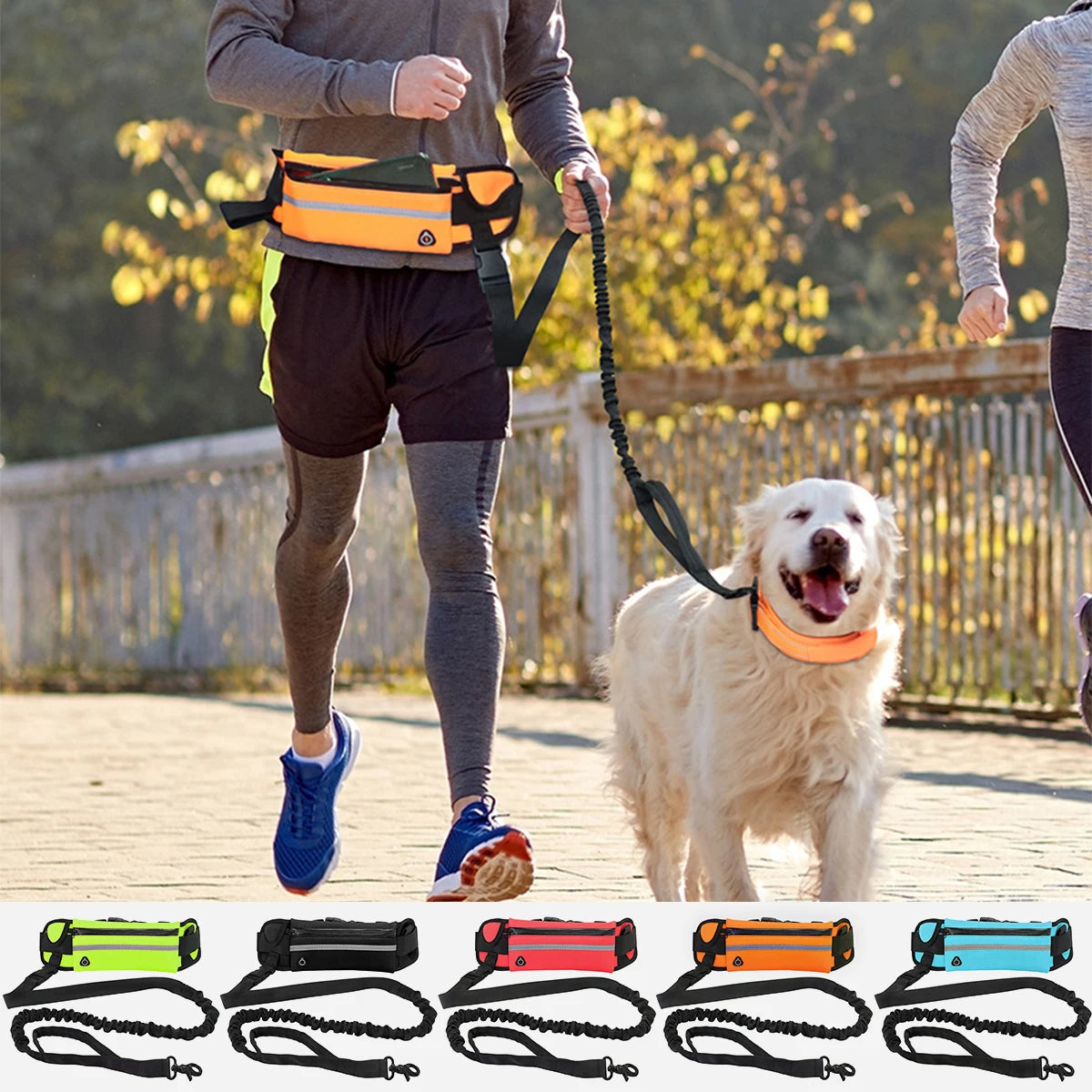 Laisse pour Chien Mains Libres pour la Course et la Marche – Laisse Réfléchissante avec Ceinture Élastique Rétractable et Sacoche à la Taille