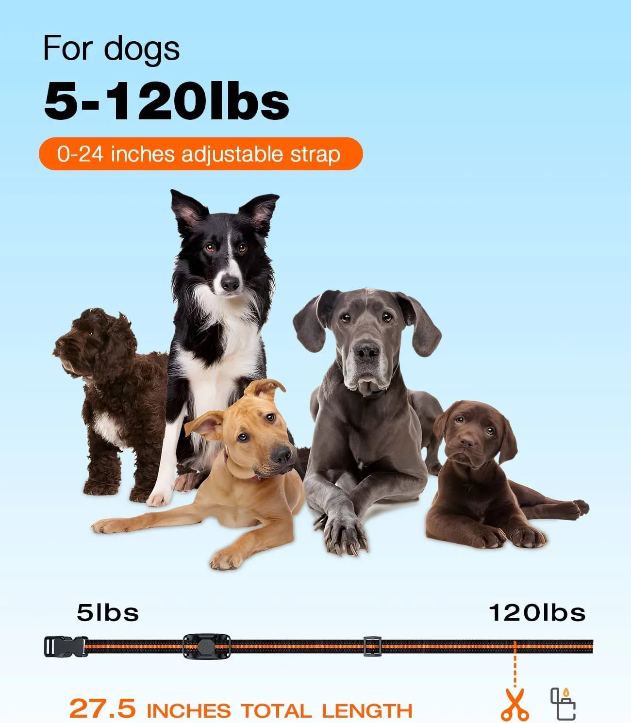 Collier de Dressage pour Chien avec Télécommande – 1000 m, Étanche IP67, Rechargeable, Multi-Mode (Pour 1 ou 2 Chiens)