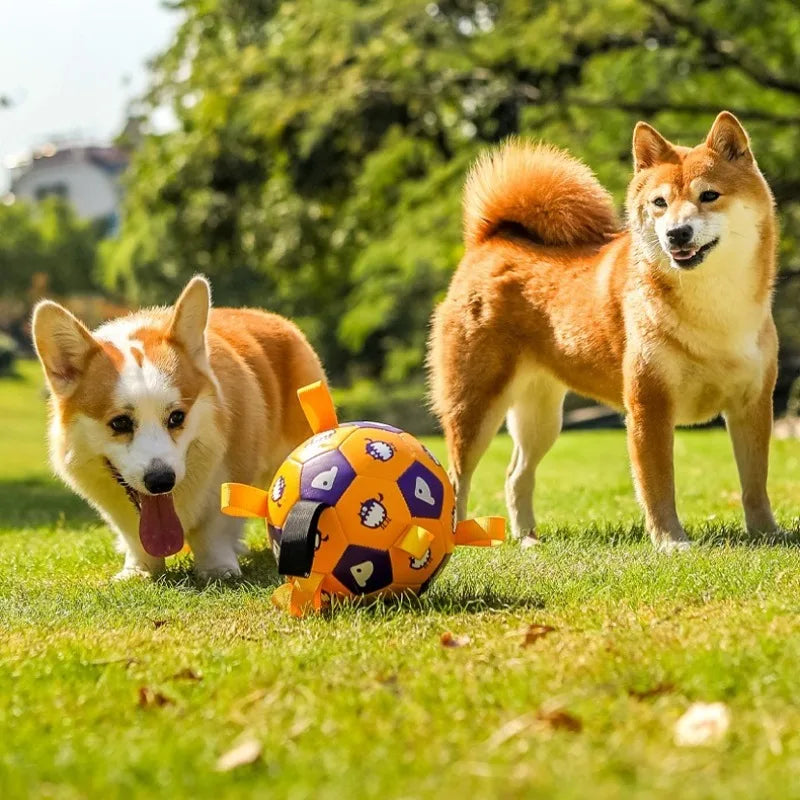 Ballon de Football Sonore pour Chien – Jouet à Mâcher Résistant pour l’Extérieur, Durable et Gonflable – Anti-Morsure avec Couineur Intégré