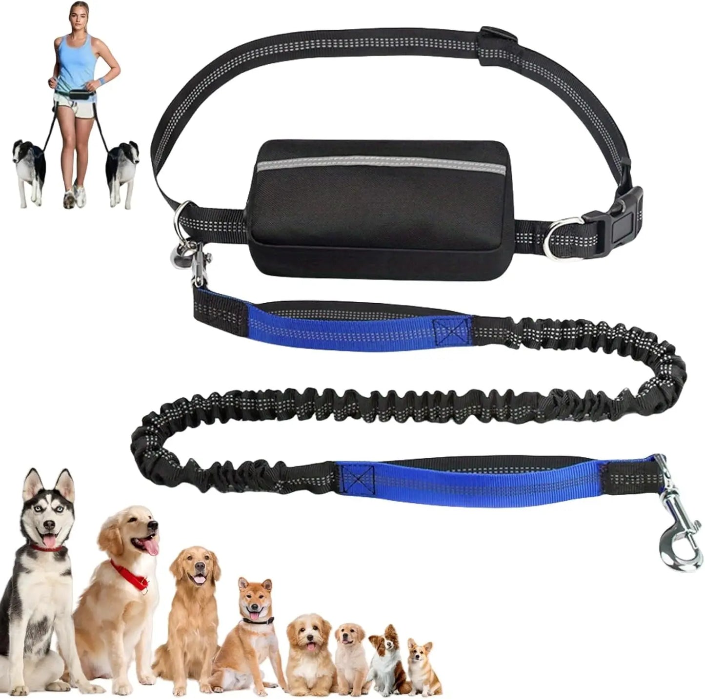 Laisse pour Chien Mains Libres 1,65 m avec Pochette à Fermeture Éclair – Laisse de Taille avec Double Poignée Rembourrée pour la Marche