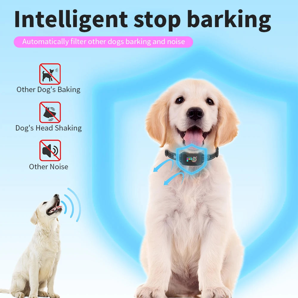 Collier Anti-Aboiement Automatique pour Chien – Ultrasons & Vibration, Étanche & Rechargeable Type-C