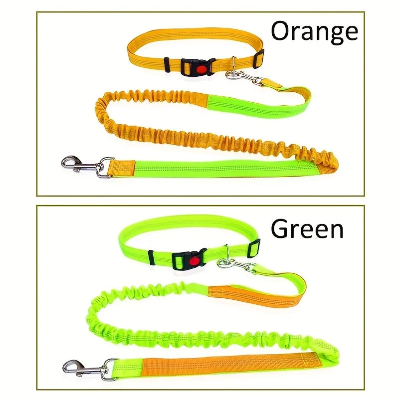 Laisse Élastique pour Chien Mains Libres – Laisse Rétractable en Nylon pour la Course et la Marche, Accessoire Pratique pour Chien