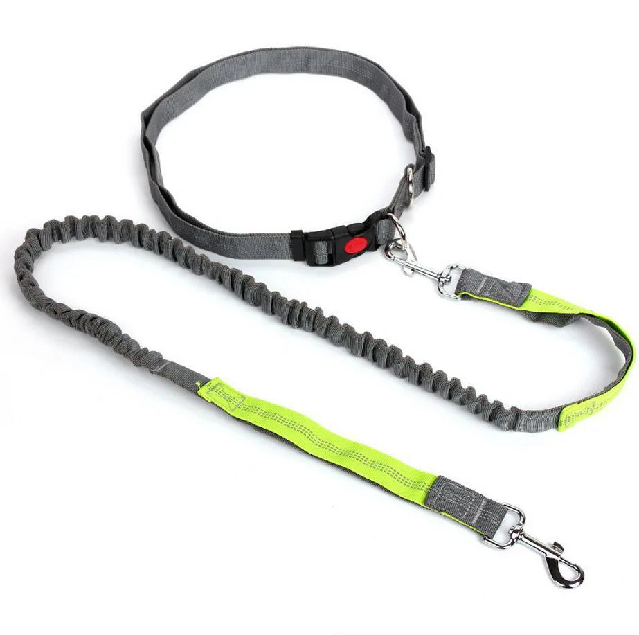 Laisse Élastique pour Chien Mains Libres – Laisse Rétractable en Nylon pour la Course et la Marche, Accessoire Pratique pour Chien