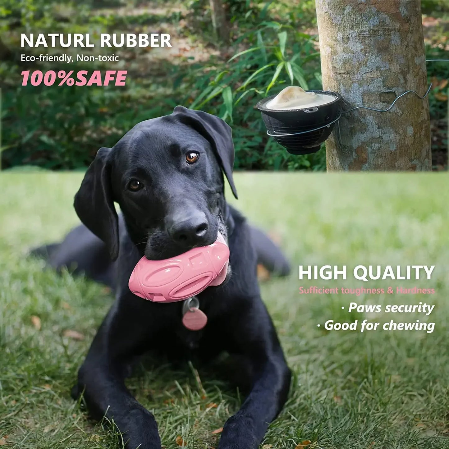 Jouet pour Chien Couineur en Caoutchouc – Balle à Mâcher Résistante pour Chiots et Chiens Agressifs – Nettoyage des Dents & Jeu Interactif – Pour Races Moyennes et Grandes