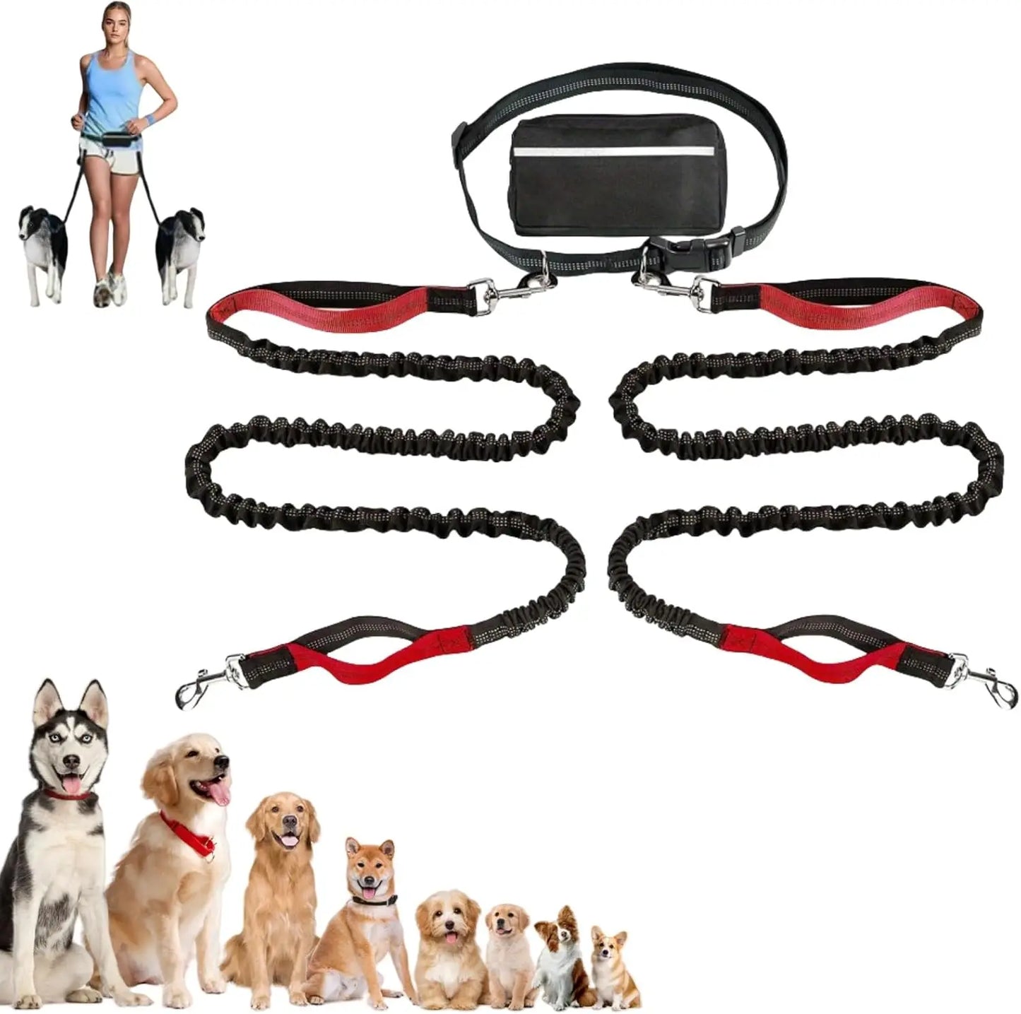 Laisse pour Chien Mains Libres 1,65 m avec Pochette à Fermeture Éclair – Laisse de Taille avec Double Poignée Rembourrée pour la Marche