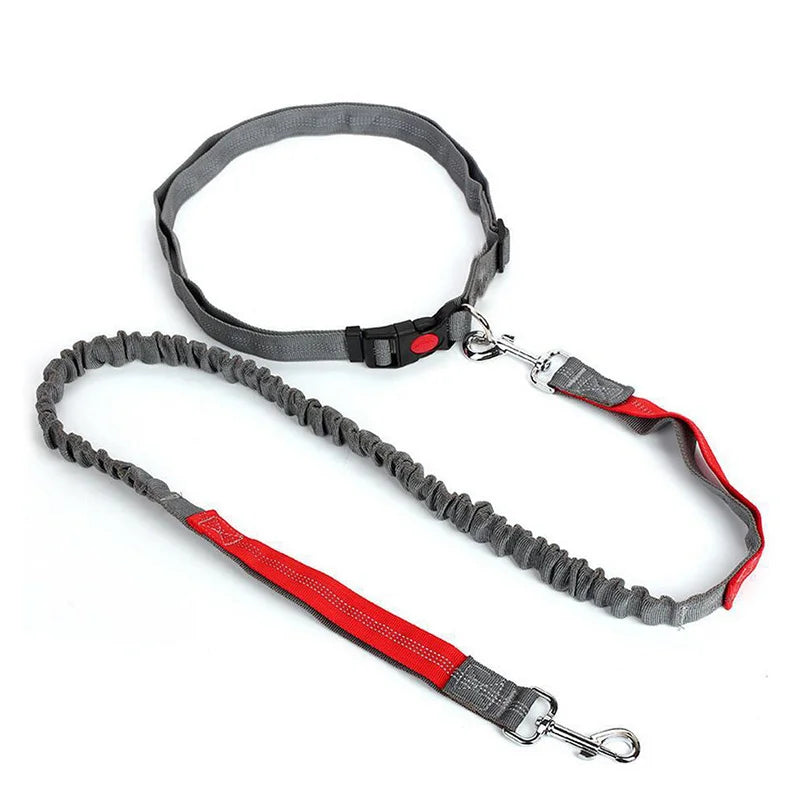 Laisse Élastique pour Chien Mains Libres – Laisse Rétractable en Nylon pour la Course et la Marche, Accessoire Pratique pour Chien