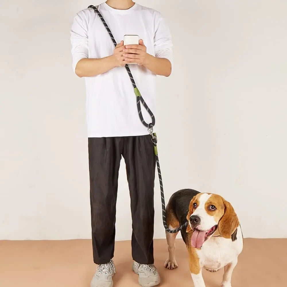 Laisse Mains Libres Réfléchissante en Nylon – Laisse de Marche, Course et Jogging Réglable pour Chiens de Petite à Grande Taille
