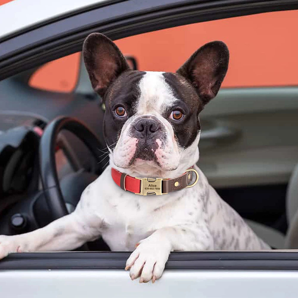 Collier pour Chien en Cuir PU Personnalisé – Collier Gravé avec Boucle Réglable et Plaque d’Identification, Durable pour Chiens Petits, Moyens et Grands (Pug, Bulldog, etc.)