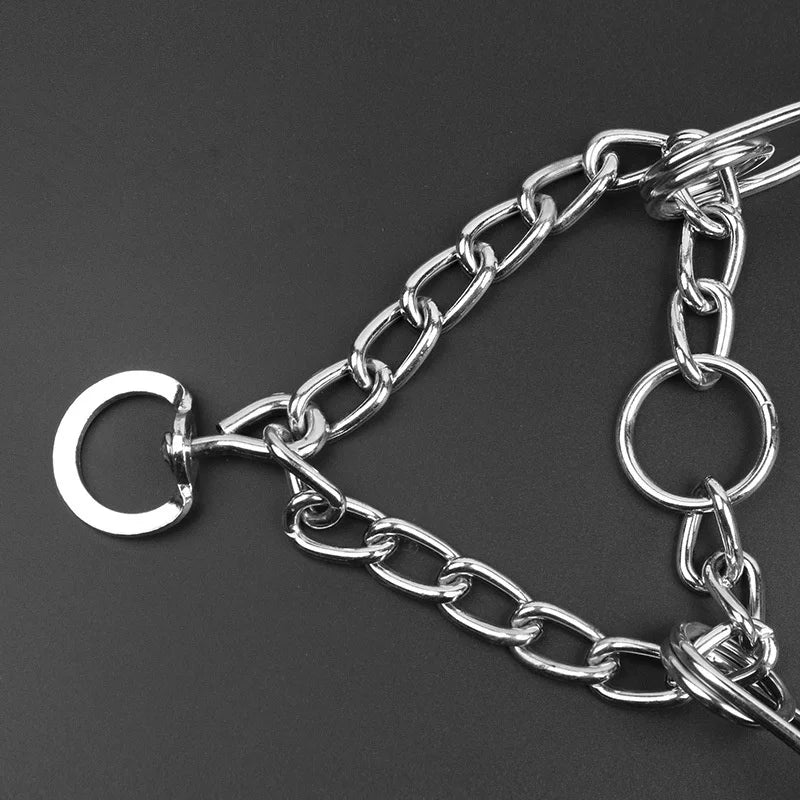 Collier de Dressage à Pointes en Métal – Anti-Traction, Ajustable, avec Embouts en Caoutchouc pour Chiens Moyens à Grands