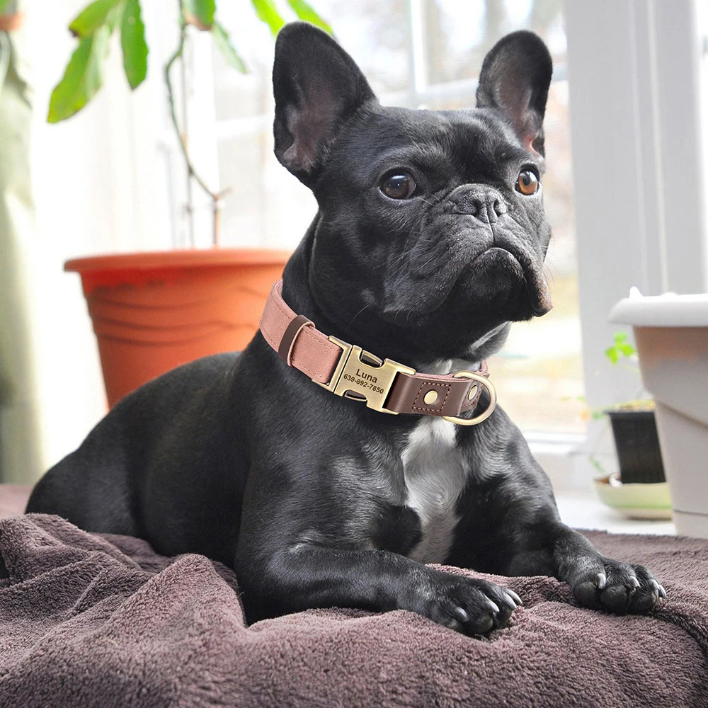 Collier pour Chien en Cuir PU Personnalisé – Collier Gravé avec Boucle Réglable et Plaque d’Identification, Durable pour Chiens Petits, Moyens et Grands (Pug, Bulldog, etc.)